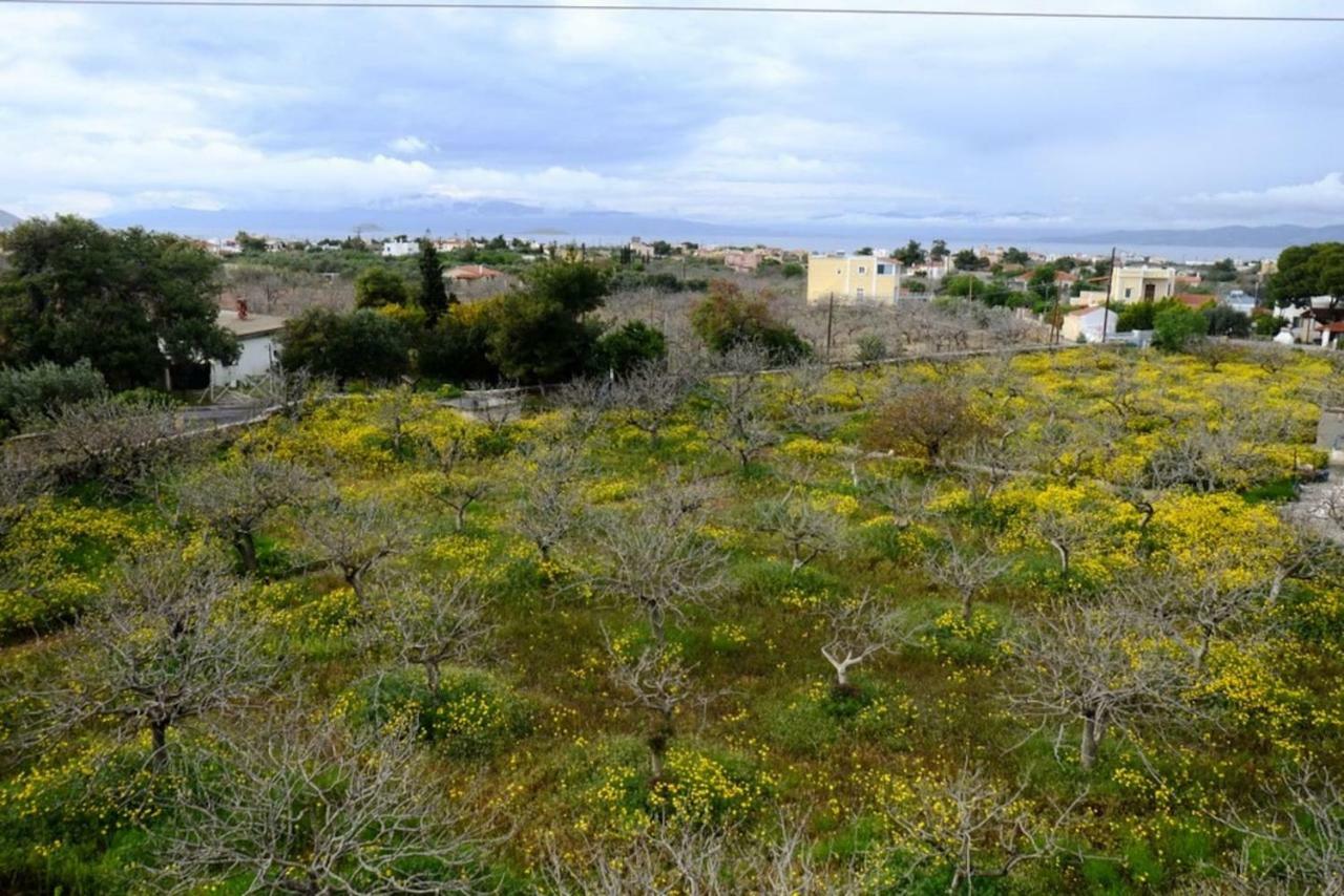 Villa Konstantinos Aegina Esterno foto
